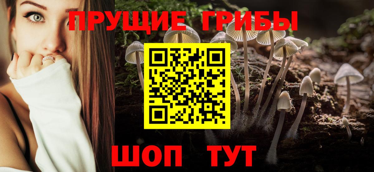 Новокубанск  Псилоцибиновые грибы мицелий  закладка  Вход с VPN 