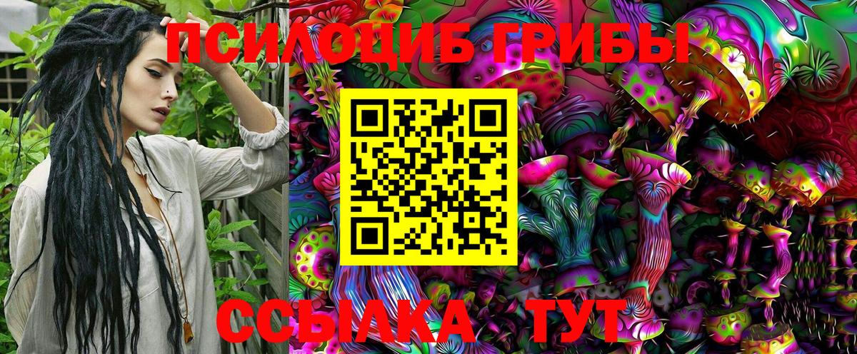 COCAIN  Новокубанск  LSD-25  Вейп ТГК  ГАШ  Купить наркотик  Героин  МЕФ кристаллы  Вход с VPN  Бошки Шишки  NBOMe  Alpha PVP СК  