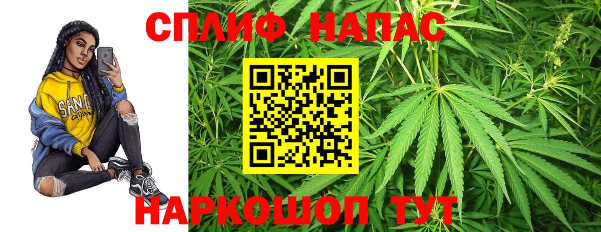 Канабис ГИДРОПОН Новокубанск